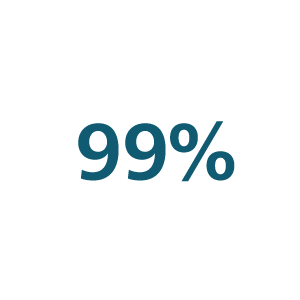 Ic&ocirc;ne 99&nbsp;%