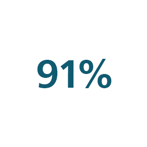 Icône 91 %