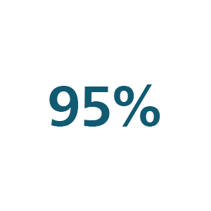 Icône 95 %